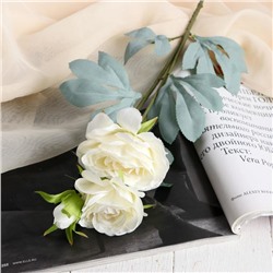 Цветы искусственные «Пион лекарственный», 9×60 см, белые