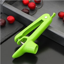 Удалитель косточек из вишни Доляна «Эдда», h=20 см, зелёный