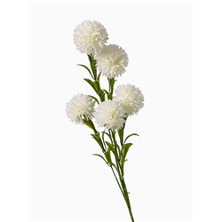 Цветы искусственные «Хризантема помпон», h=80 см, d=6 см, белые