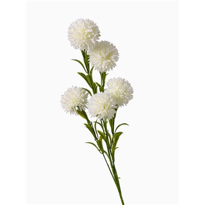 Цветы искусственные «Хризантема помпон», h=80 см, d=6 см, белые