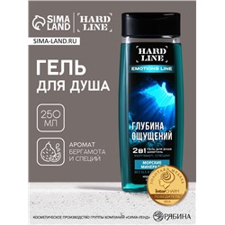 Гель для душа и шампунь 2 в 1 «Морские минералы», 250 мл, аромат бергамот и специи, HARD LINE