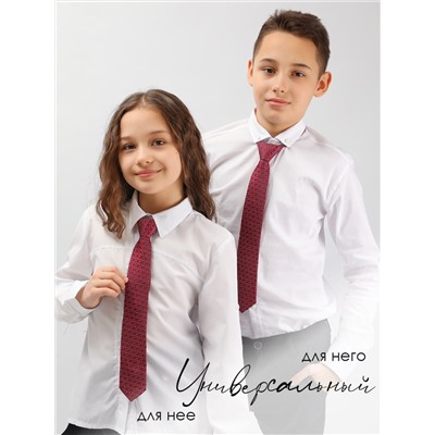 Соль&Перец Галстук SP304A