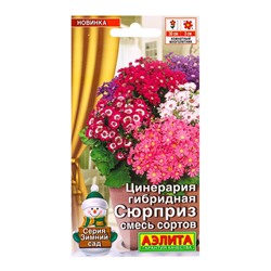Семена цветов Цинерария гибридная Сюрприз, смесь сортов Мн Зимний сад, Ц/П,30 шт.