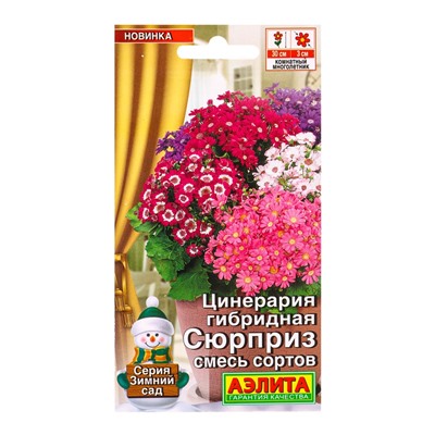 Семена цветов Цинерария гибридная Сюрприз, смесь сортов Мн Зимний сад, Ц/П,30 шт.