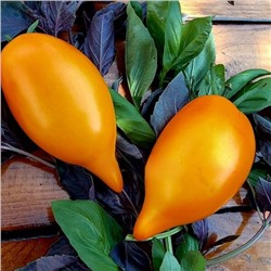 7045Т Томат Манго 10шт