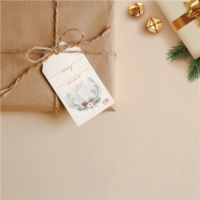 Открытка-шильдик на подарок «С Новым годом», 5×9 см