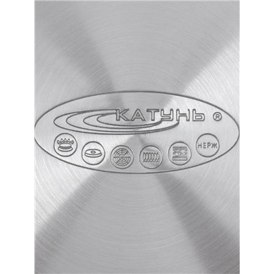 Кастрюля Катунь «ЭЛИС ГОЛД», 4.5 л, 22×13 см, стеклянная крышка, нержавеющая сталь, ручки золотистые