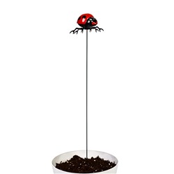 Штекер садовый «Божья коровка дайтон», 6×5 см, h=30 см, белый, Greengo