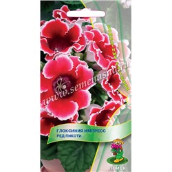 Глоксиния Импресс Ред Пикоти (Код: 84349)