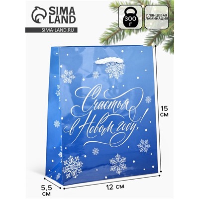 Пакет подарочный новогодний ламинированный «Счастья в Новом году», S 12×15×5.5 см