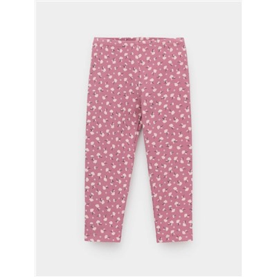 CROCKID Лосины КР 4321