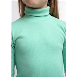 CLEVER Водолазка 900308ш 52-64