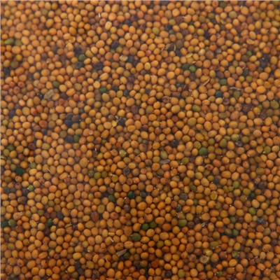 Семена Горчица, Мой Выбор, 3 кг
