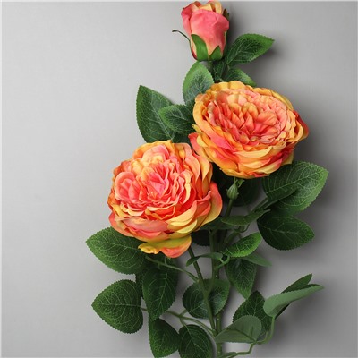 Цветок искусственный Роза пионовидная 72 см / RW-303 /уп 24/144/ желто-розовый