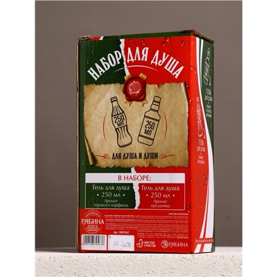 Подарочный набор «Для душа и души», гель для душа во флаконе виски и гель для душа кола, 2×250 мл, Чистое счастье