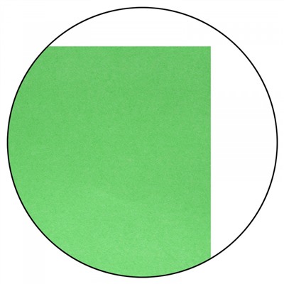 Бумага  А4  50л 70 г/м2 интенсив зеленый CPL50CIN-Gr LITE