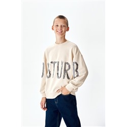 Толстовка SMENA, 1104568