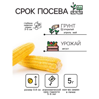 Семена Кукуруза сахарная "Ранняя лакомка 121", 5 г