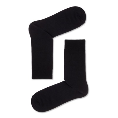 Носки мужские ESLI CLASSIC