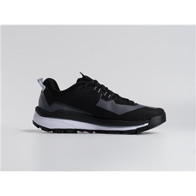 Кроссовки Adidas Terrex Skychaser Tech Low Gtx