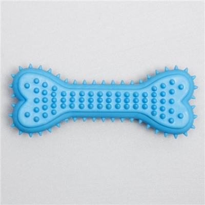Жевательная игрушка для собак литая «Кость для массажа», 11×4×2 см, голубая