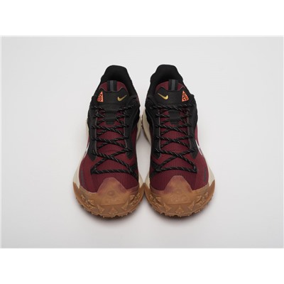 Кроссовки Nike ACG Mountain Fly 2 Low