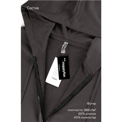 Мужской спортивный костюм из футера трехнитки Happyfox