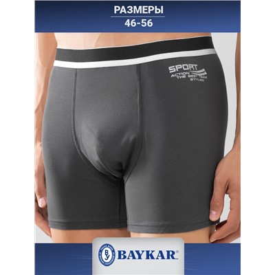 1248-123 Боксеры мужские (BAYKAR)