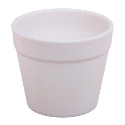 Набор для опытов «Новогодний флорариум»