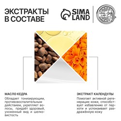 Шампунь для сухих и ослабленных волос с маслом кедра и экстрактом календулы, здоровые и блестящие, 300 мл, ECO LAB by URAL LAB