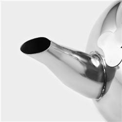 Заварочный чайник Доляна «Гретель», 800 мл, металлическое сито, нержавеющая сталь, хромированный