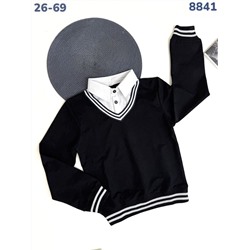 Джемпер 8841 чёрный