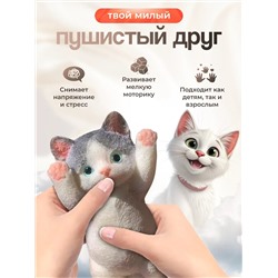 Сквиш таба Котик 60238