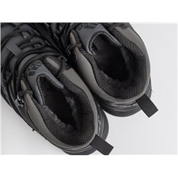 Зимние Ботинки Adidas Terrex Winter