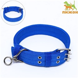 Ошейник четырехслойный, 65×4 см, ОШ 54-60 см, с вертлюгом, полиэстер, синий