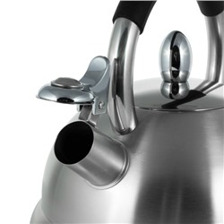 Чайник #23094283