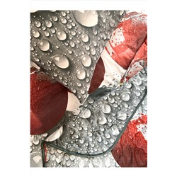 КПБ с одеялом КМ4-008 НАТАЛИ, 1015978