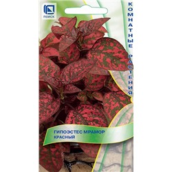 Гипоэстес Мрамор Красный (Код: 93184)