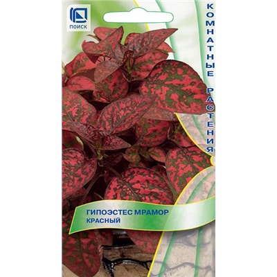 Гипоэстес Мрамор Красный (Код: 93184)