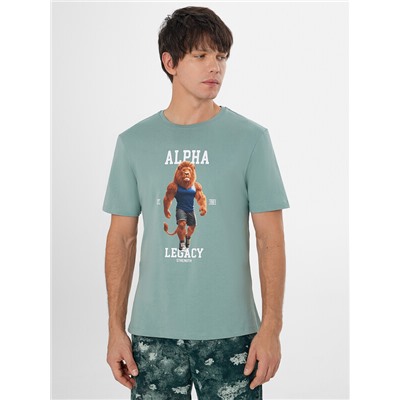 КОМПЛЕКТ МУЖСКОЙ (ФУТБОЛКА, ШОРТЫ) 591044