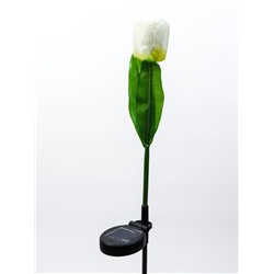 Штекер с подсветкой «Тюльпан», белый, 8×70 см