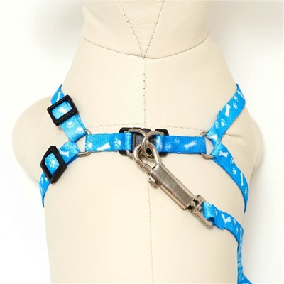 Шлейка с поводком «Классика», ОГ 21-35 см, поводок 120×1 см, капрон, голубая