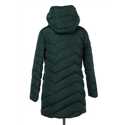 05-1855 Куртка зимняя (Синтепон 300)