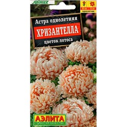 1999A Астра Хризантелла цветок лотоса 15шт