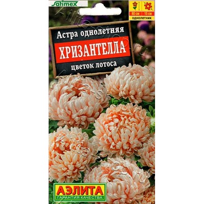 1999A Астра Хризантелла цветок лотоса 15шт