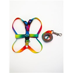Комплект «Радуга», капрон, поводок 120×1.5 см, ОГ 24-34 см, разноцветный