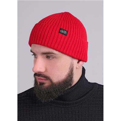 453980 CLEVER Шапка