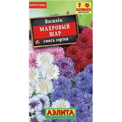 Василек Махровый Шар Аэлита