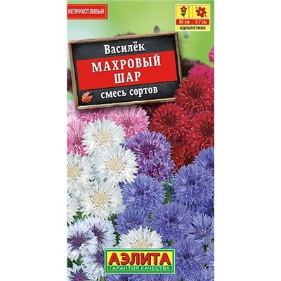 Василек Махровый Шар Аэлита