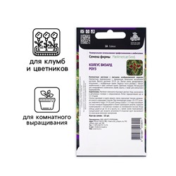 Семена цветов Колеус Визард Роуз, 10шт